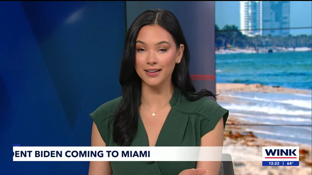 01.30 - 17.00.01 - WINK Noon News. Midday news in Ft. Myers with the ....ts_snapshot_28.03.389