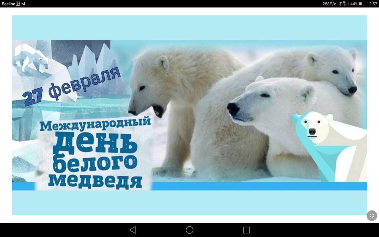 Заказать Белого Медведя На Праздник Москва Цена