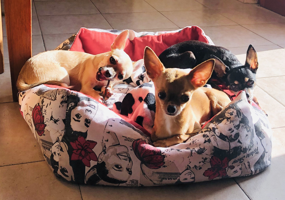 3A790345-3B3D-4C31-A525-17BC83CFED92