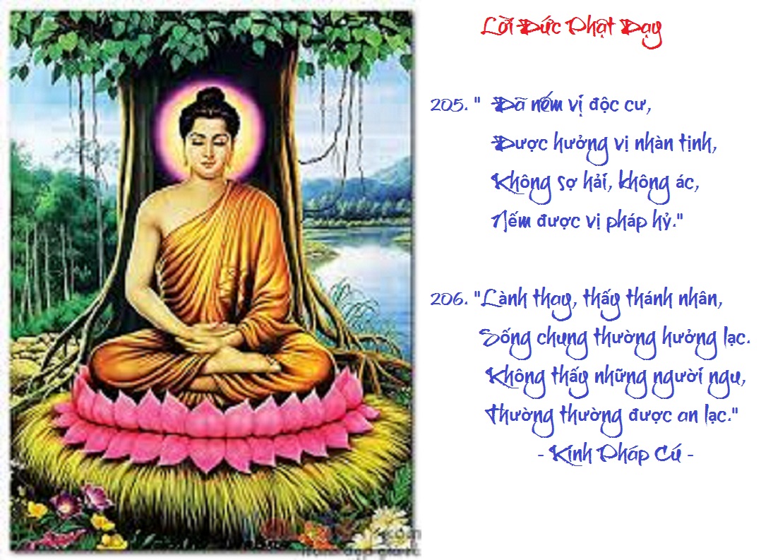 [Image: VERSE205206.jpg]