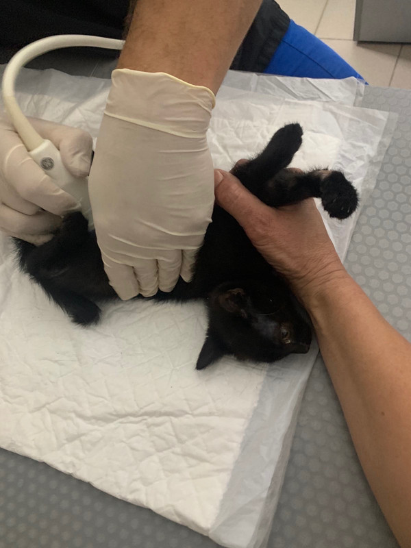 CC964219-86FA-48EC-83F8-2300D99188C4