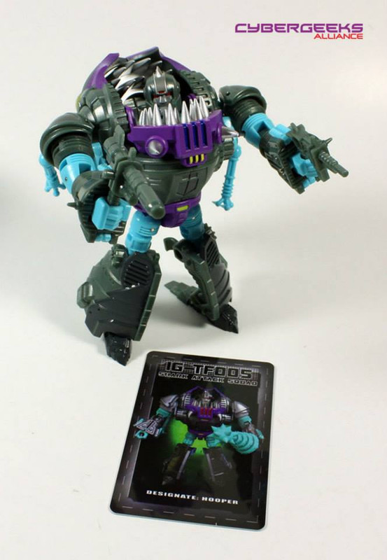 1530525_744944295517465_136176005_n