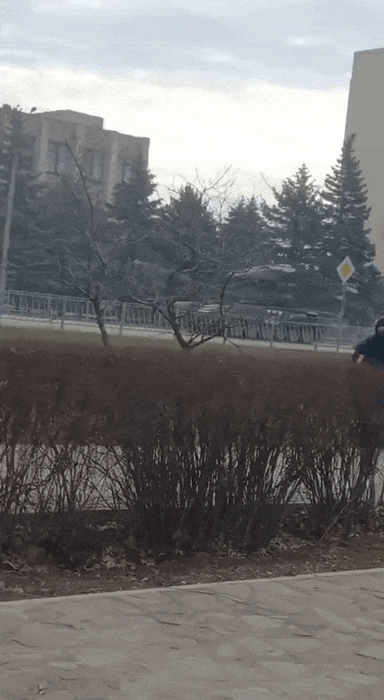 video 2026 04 02 02 18 28 (1)