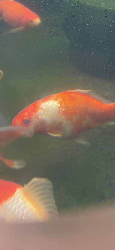 788AA385-EF8C-43D9-ADCD-A13E84477DF6