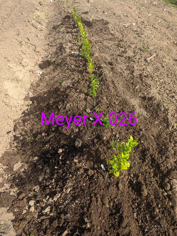 PXL_20240503_132956556~2