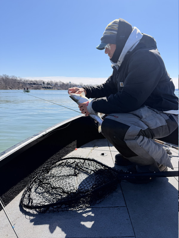 IMG 0439
