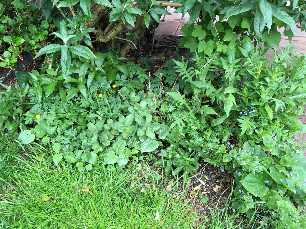 AC5F3386-1C55-4270-83DF-C4A0639A0489