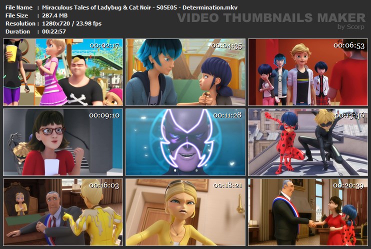 Miraculous Tales of Ladybug & Cat Noir - S05E05 - Determination.mkv