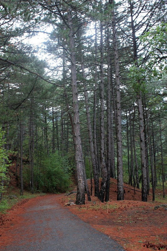 Изображение 1381