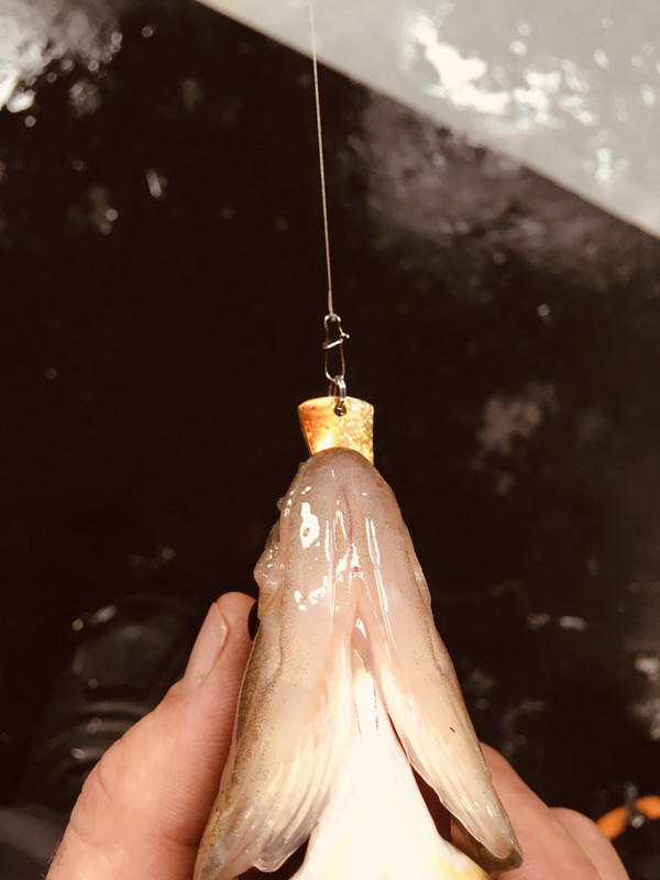 961C7EB1-189D-45B6-B1A8-D3BD65EEB736