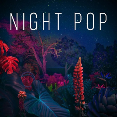 VA - Night Pop (2020)