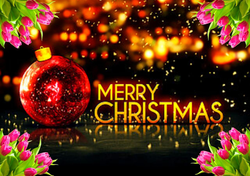 [Image: Best-merry-christmas-quotes-image-2021-2...ju-com.jpg]