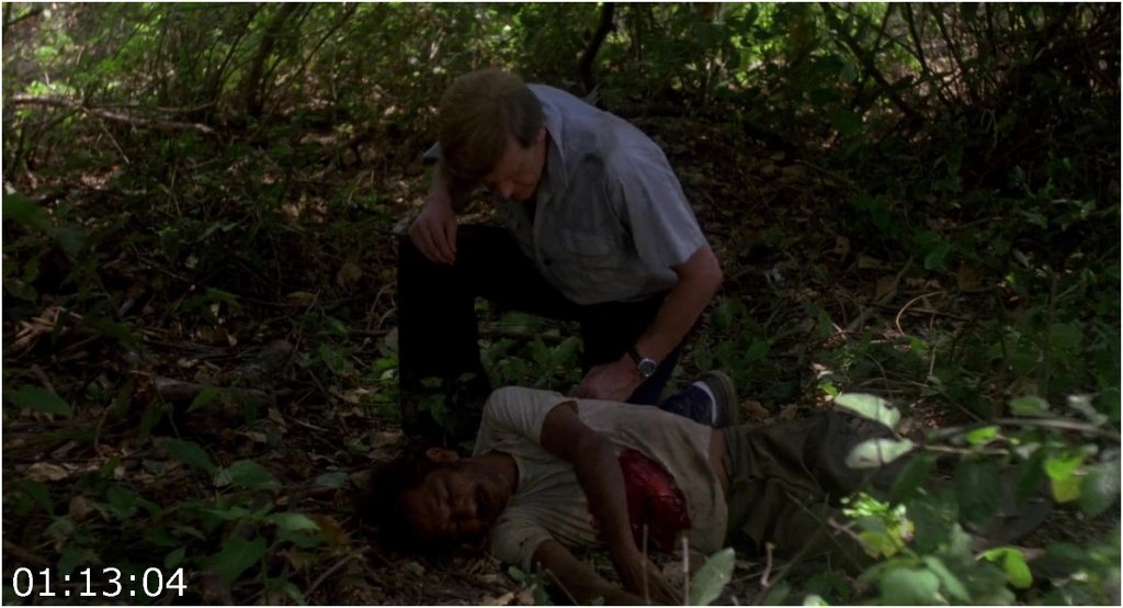 Contamination-1980-1080p-H264-Ac3-Ita-Eng-Sub-Eng-MIRCrew.jpg