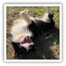 Site-Web-vignette-Instagram-Shampooings-52