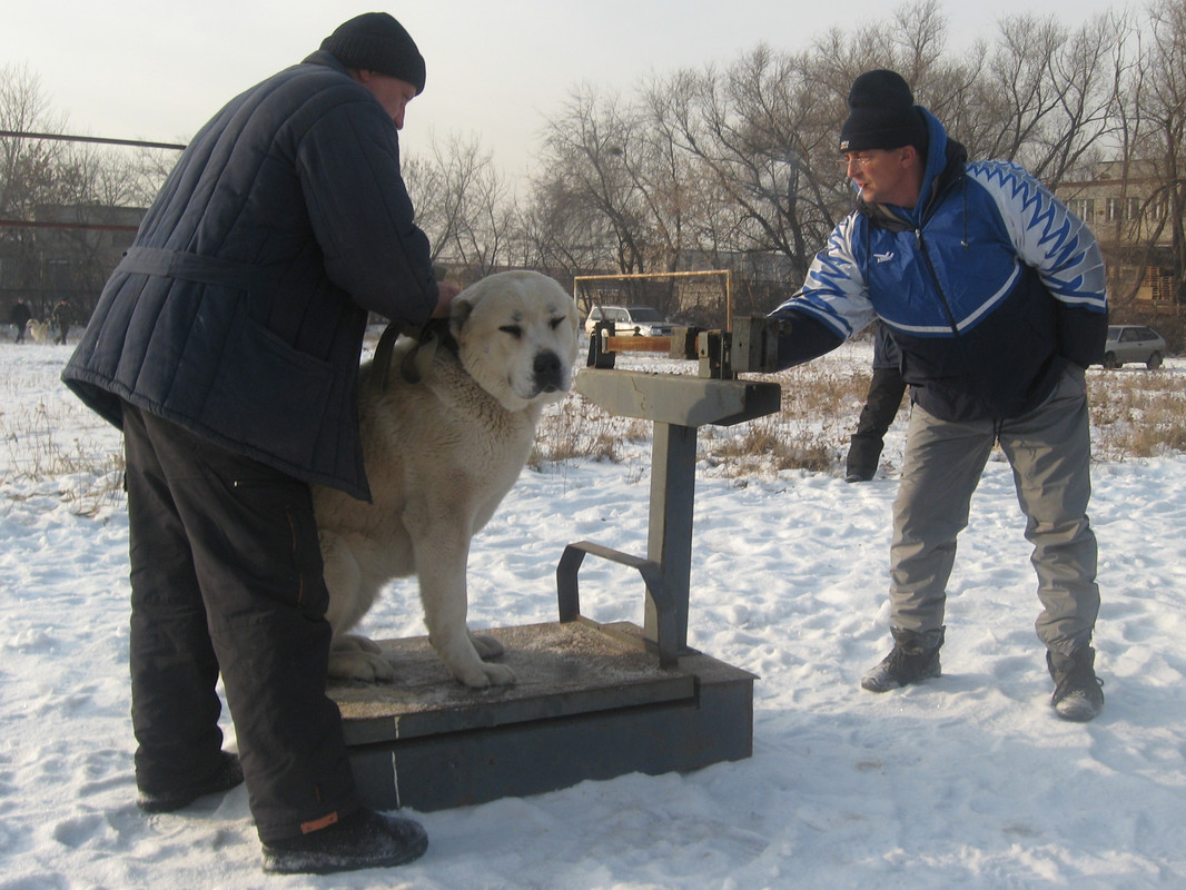 2009.11.21 Вес РИЧ 63кг 2г8м (3)