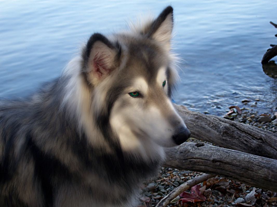 PicsArt_10-28-10.21.43