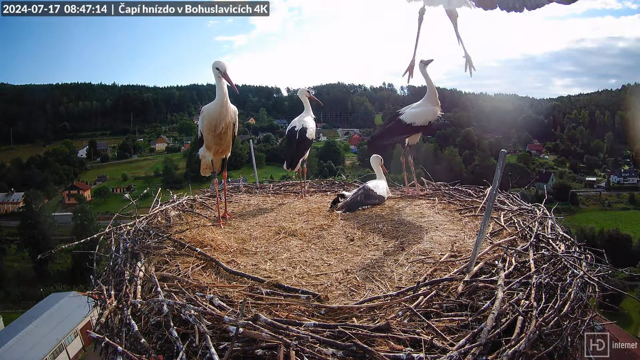 Tiešraidē no uzņēmuma KARA stārķa skursteņa Bohuslavicē pie Trutnovas 11-17-4 screenshot