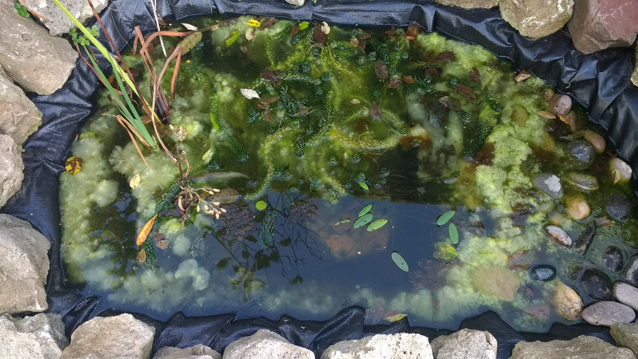 IMG_20170906_181559015