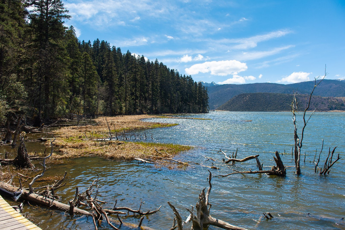 Yunnan 2019 - Blogs de China - Dia 8 - Shangrila, Monastery Songzanglin y Potatso National Park (25)