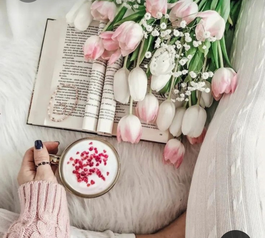 Screenshot_20230330_002824_Pinterest