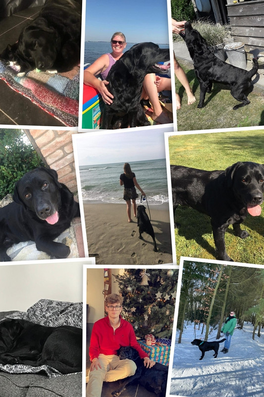 IMG-20190305-WA0002-COLLAGE