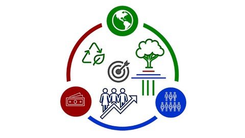 k6py6 Sk Kk ZRa5a75 Hfma9 Wy LST0b Q7 P4 - Winning Strategies In Corporate Sustainability And Esg