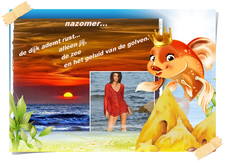 Klik op de afbeelding om de link te volgen