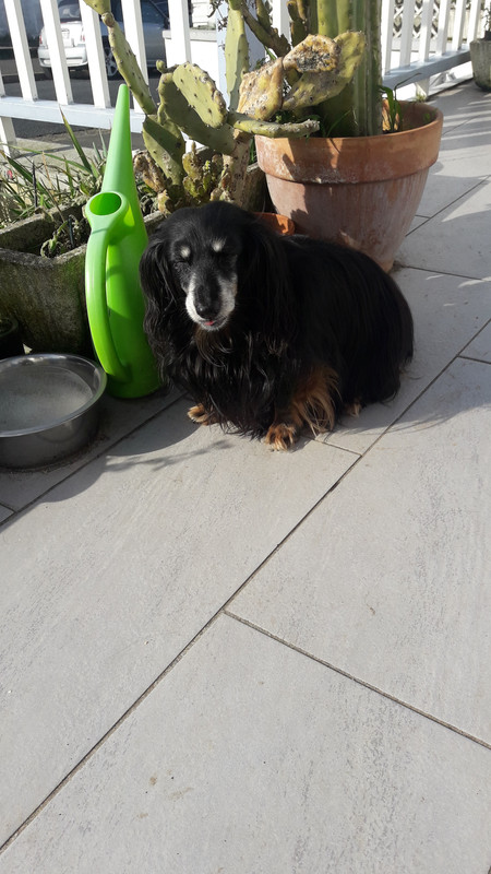 [Image: 20210213-140215.jpg]