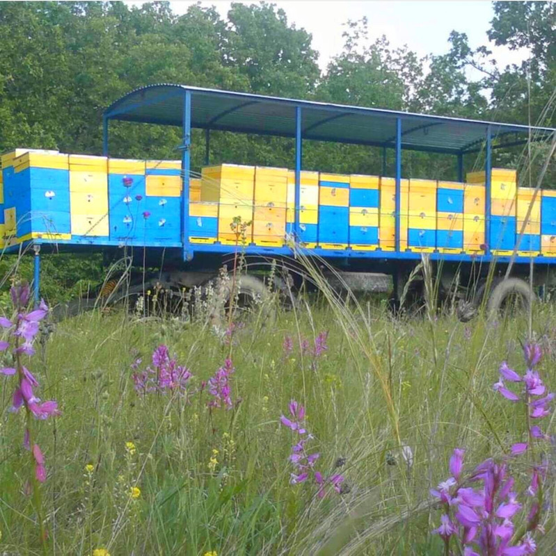 743CC3DB-5EAD-4D17-9E53-3C8FC98D45E4