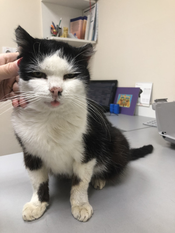 BBD75AF2-C3EC-4260-B850-EA9AA55019BC