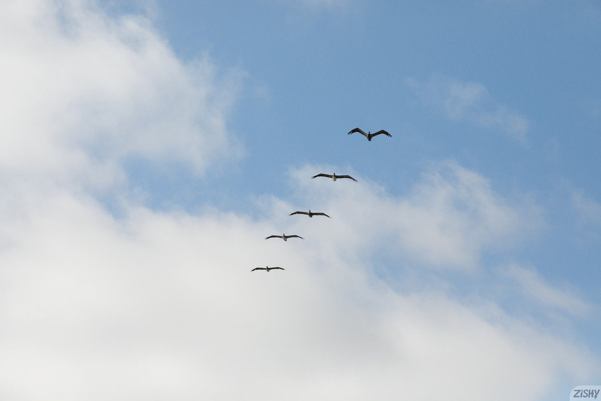 full_038_12104112432644