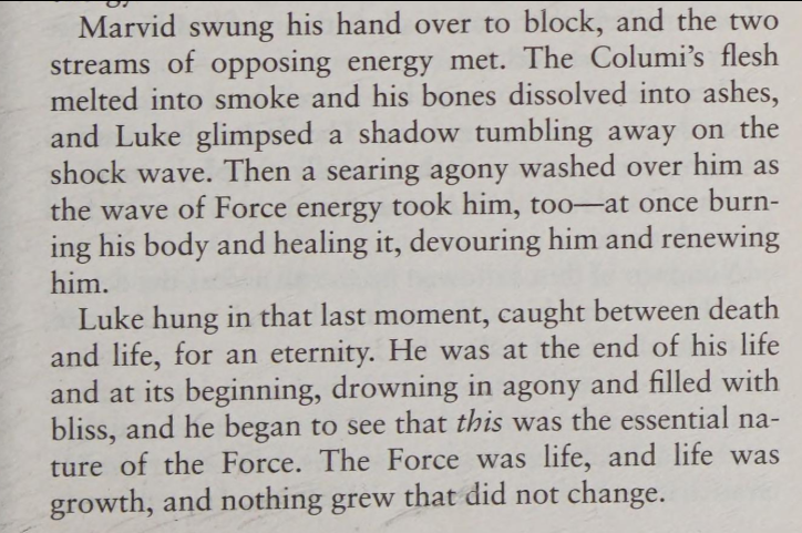 Luke and Leia became One by drawing on the purest form of the Force which threatened to dissolve th
