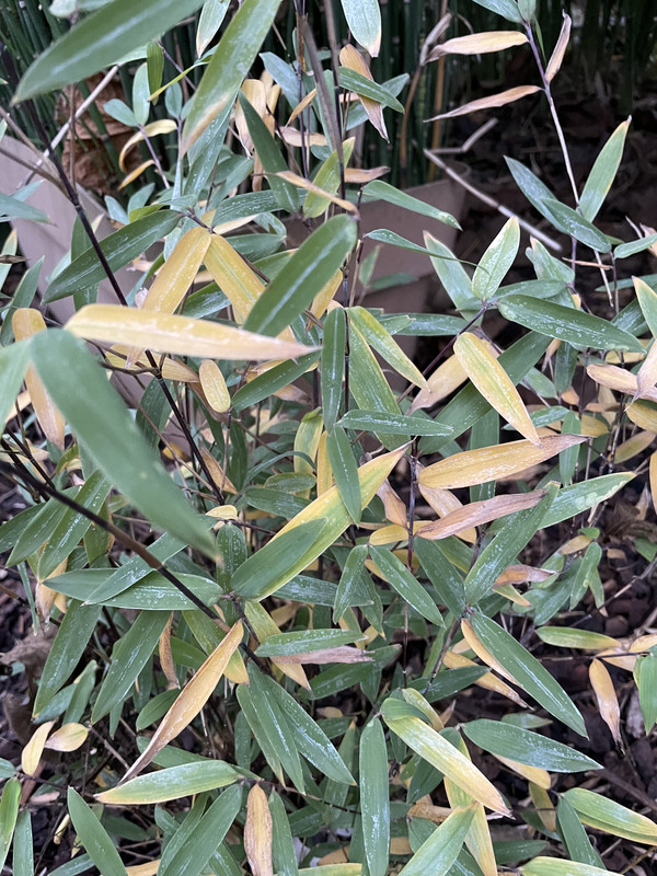 8C69F83D-B264-421C-A3B1-CA751FDADC6C