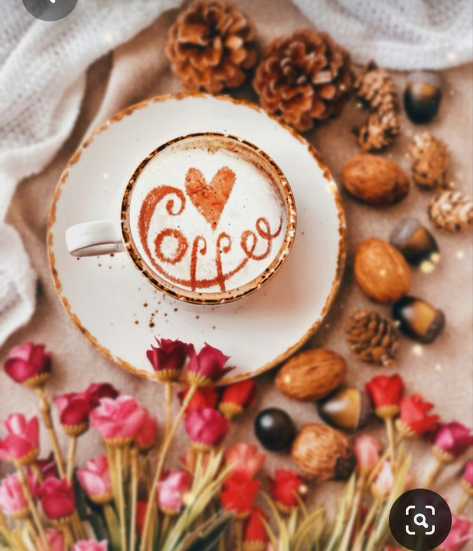 Screenshot_20230415_232527_Pinterest