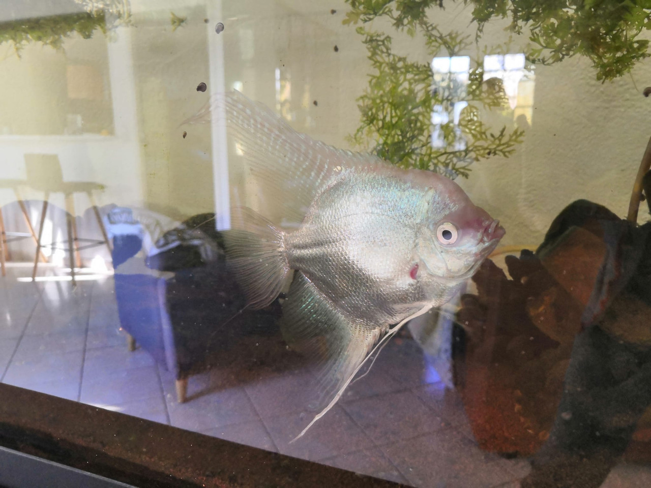 Whats App Image 2026 01 30 at 11 42 33 (1)