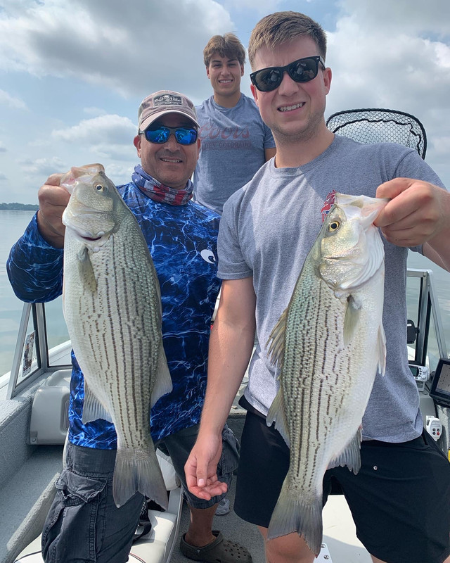 A6C133C7-A459-4C81-9C3E-AADF59984E78