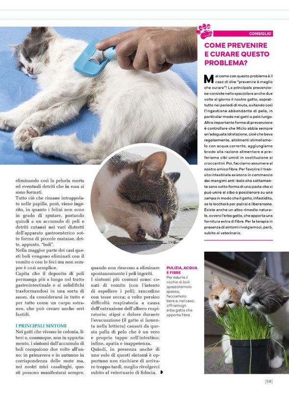 Ga Ma Feb-Mar 2025 (10)