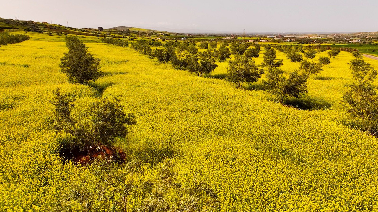 647546768-122174329466792190-3753351424088221522-n