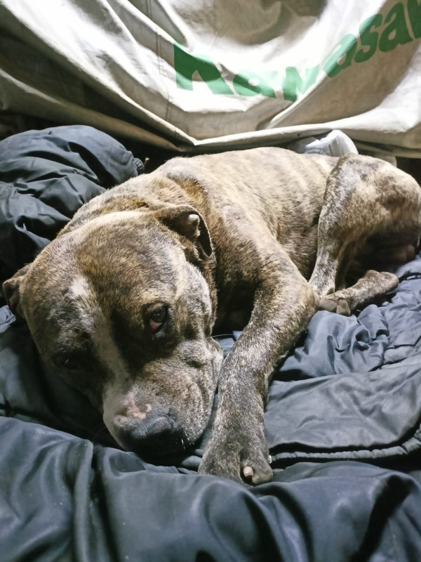 47E99B3A-8A84-4261-B8EA-F274ED49B83B