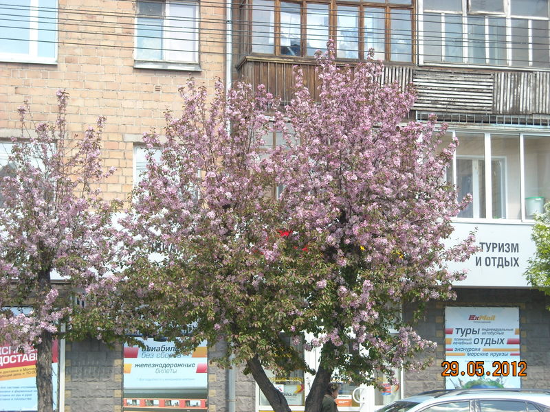 DSCN7825