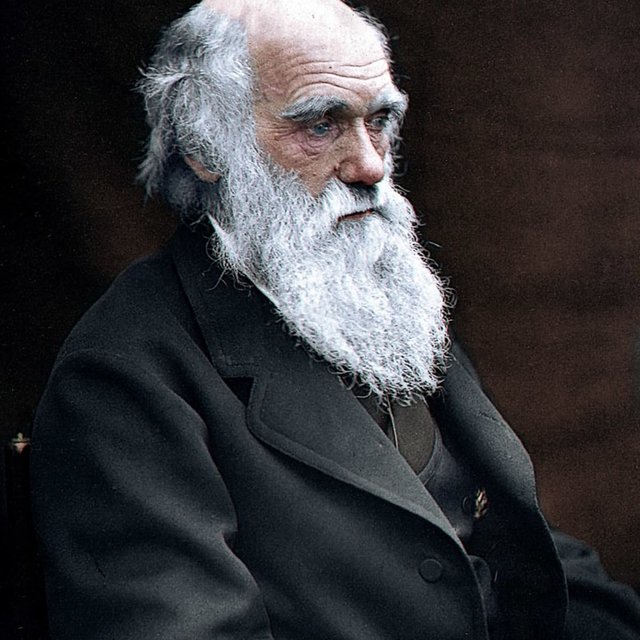 old-man.jpg
