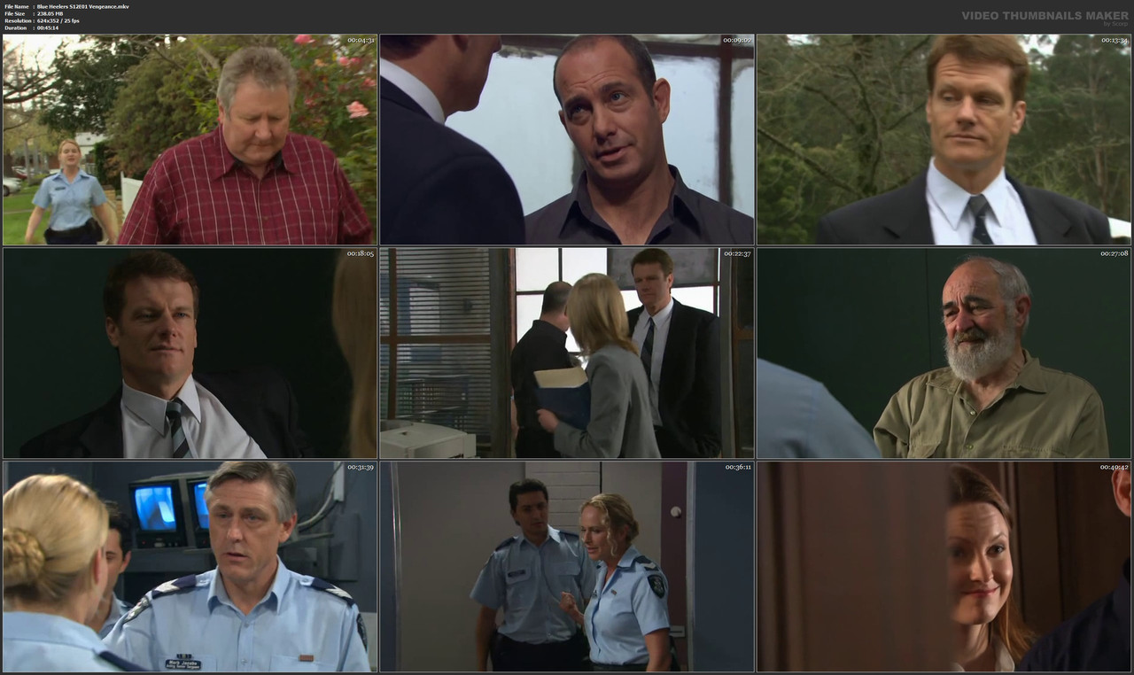 Blue Heelers S12E01 Vengeance.mkv