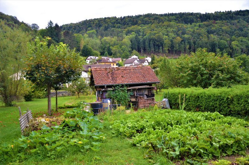 SAINT URSANNE-5-9-2019 - Suiza y sus pueblos-2019 (43)