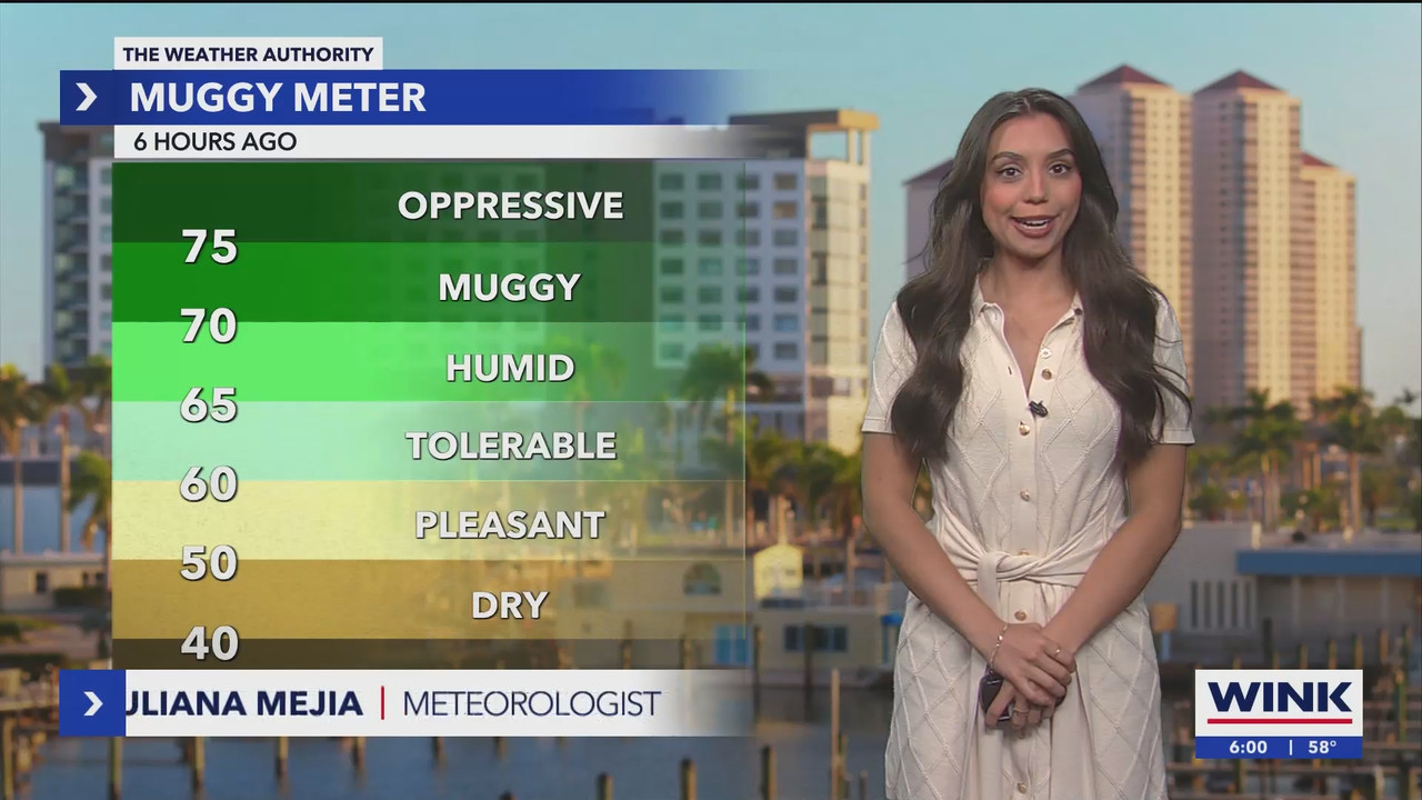 WINK NEWS at 600am Saturday_20241130_11001200.ts_snapshot_00.01.02.636