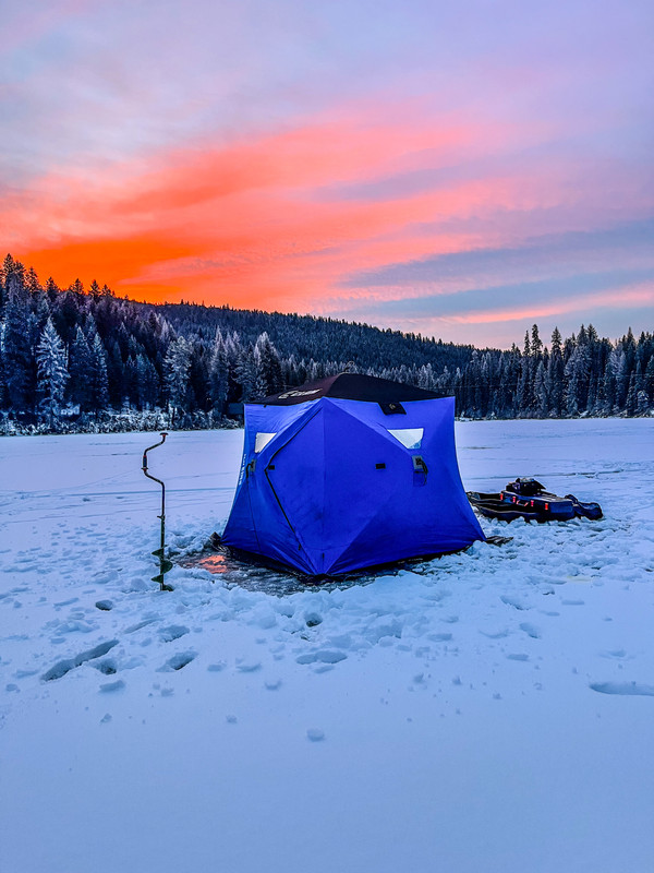 8DB0734C-C750-4438-94E1-9F01D3AE8959