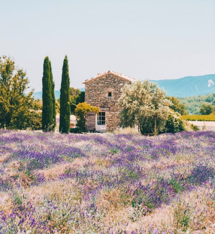 Screenshot_20240404_204918_Pinterest