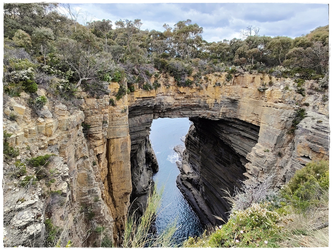 Australia (II): Recorriendo Tasmania - Blogs de Australia - Tasman National Park (15)