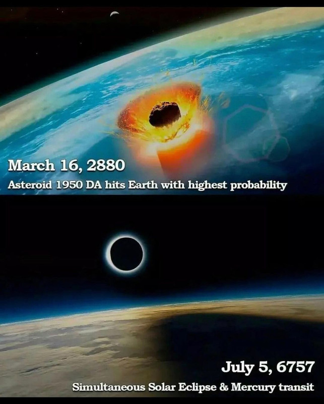 dddd (4)