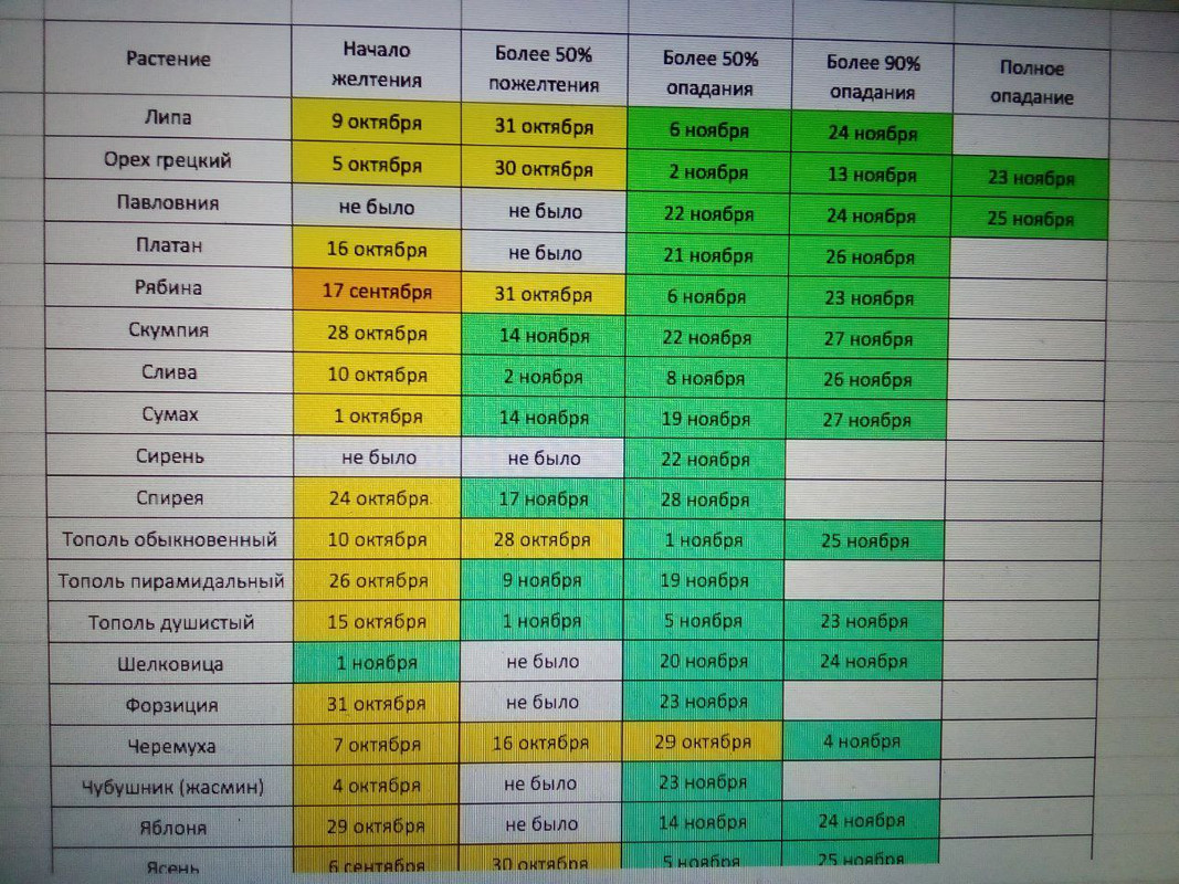 photo_2024-12-01 9.06.09 дп