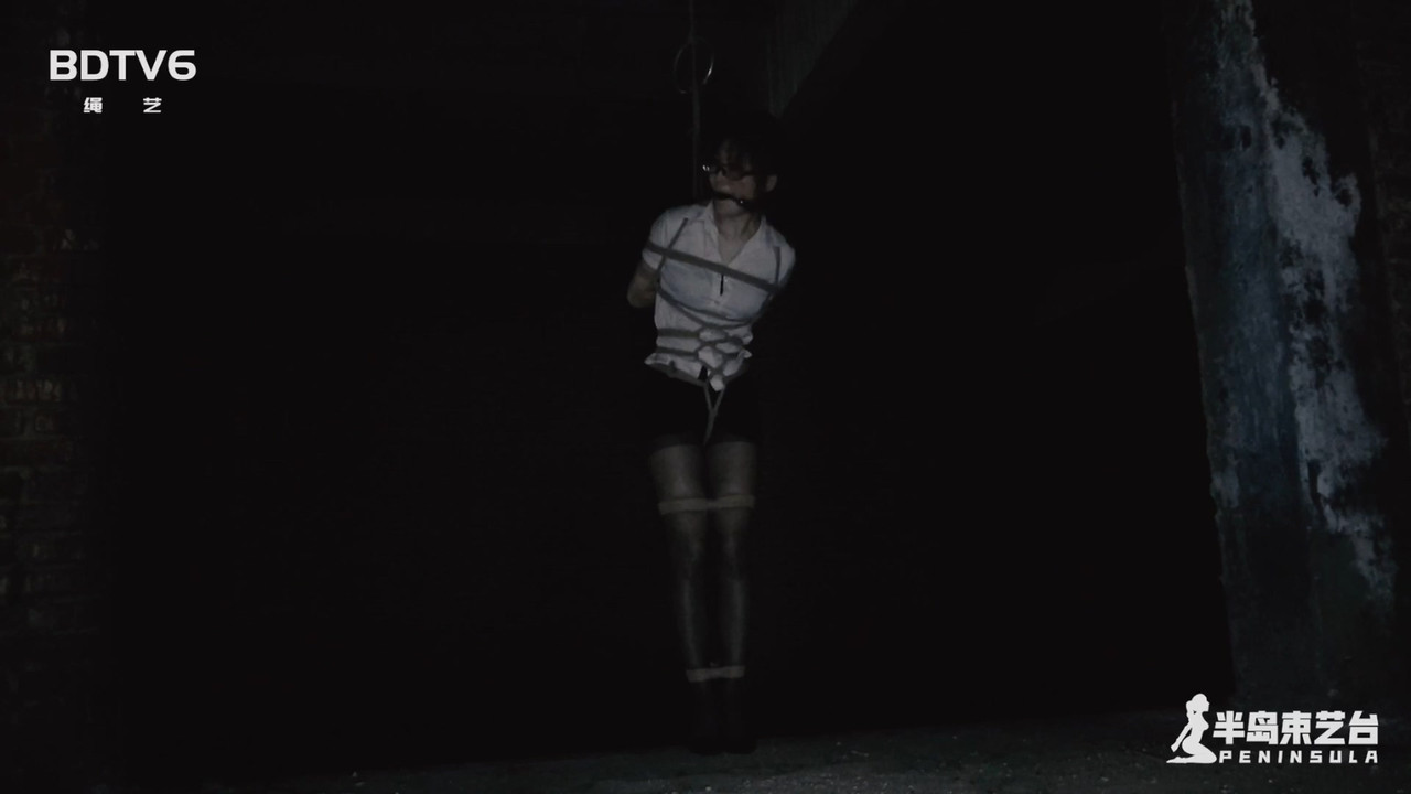 半岛束艺 古墓丽影 下 鹿野.mp4_20201118_132853.875